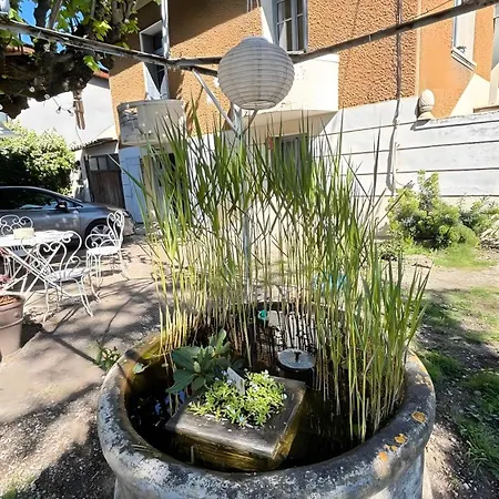 Appartement Sous Le Tilleul - 3 Personnes *